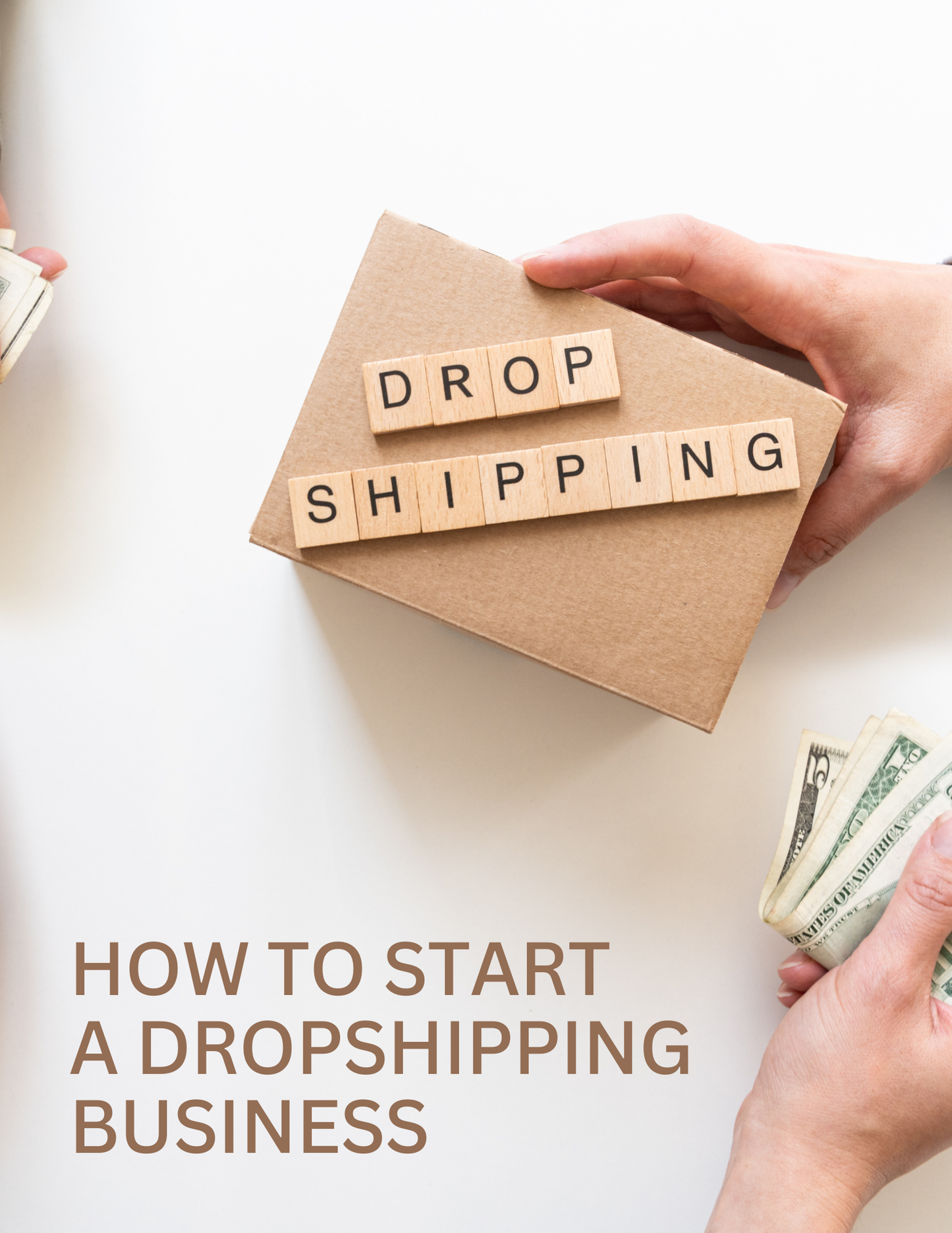 Dropshipping E-Book